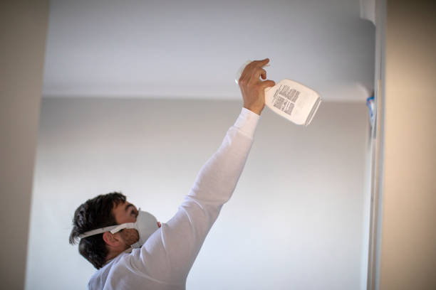 Best Residential Mold Removal  in Alamo, GA