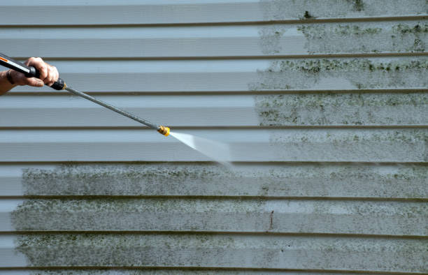 Best Commercial Mold Removal  in Alamo, GA