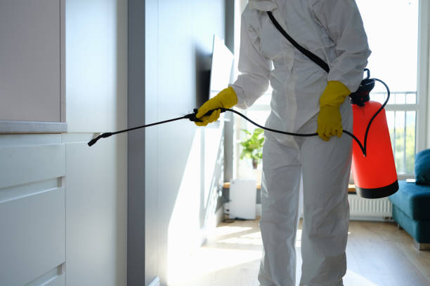 Best Commercial Mold Removal  in Alamo, GA